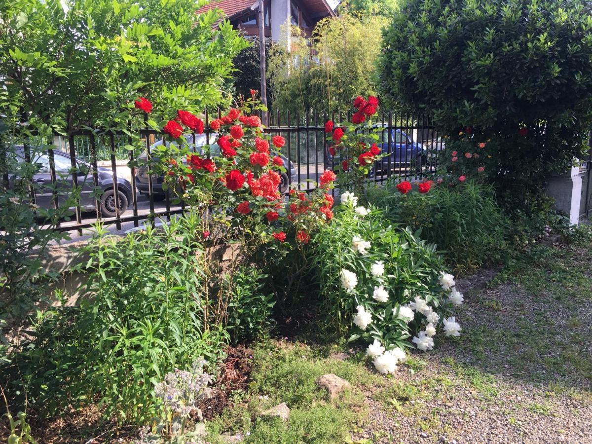 Le Catalpa - Centre Ville, Jardin & Parking! Annecy Ngoại thất bức ảnh